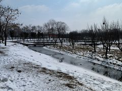 -北龙湖湿地公园
