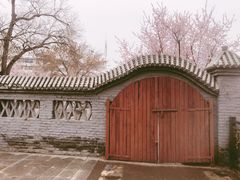 -桃花堤公园
