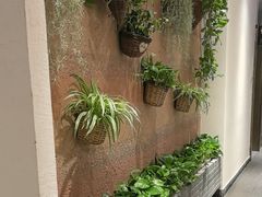 -丹江渔村(望京店)