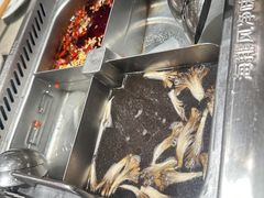 -海底捞火锅(宇飞大厦店)