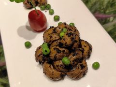 -尘香•传统川菜(创汇首座店)
