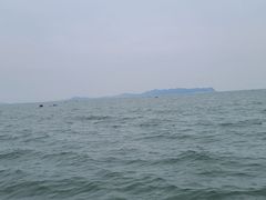 -龙口南山旅游景区