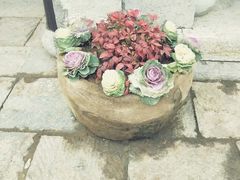 -回龙窝历史文化街区