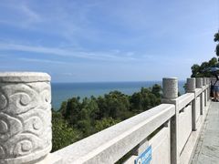 -广东惠东海龟国家级自然保护区