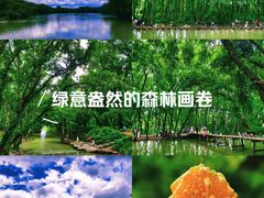 -西溪南古村落