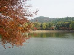 -九龙潭景区