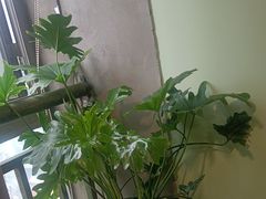 -1984魔法桌游(观音桥店)