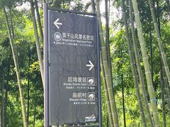 -莫干山风景区