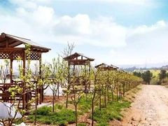 -白沙门生态公园