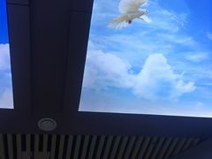 -水立方国际汤泉(六一中路店)