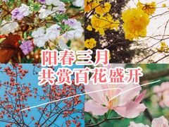 -中国科学院华南植物园
