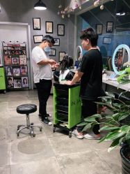 -时尚殿堂明星门店