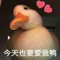 -Hair Code芭曲发型