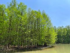 -上海海湾国家森林公园