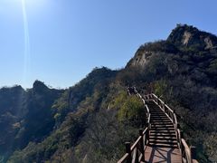 -大岭沟猕猴桃谷风景区