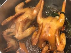家喻私房鸽-新兴·金羊座·粤菜点心(乐峰店)