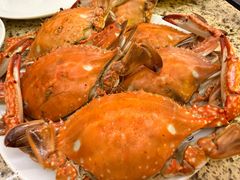 -禾斗海鲜自助(市南银座店)