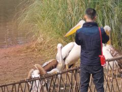 -黄龙溪欢乐田园