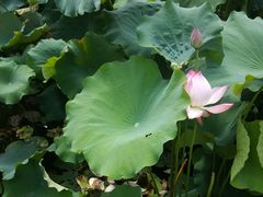 -丝绸小镇荻港古村