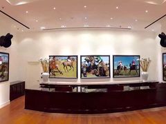 -POLO RALPH LAUREN(比斯特苏州购物村店)
