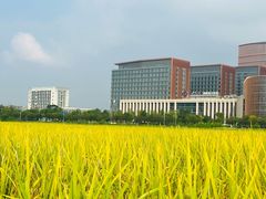 -光明小镇欢乐田园