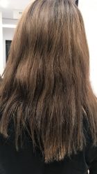-SALON V