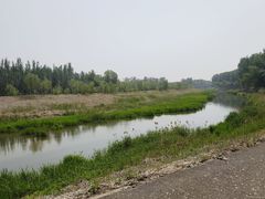 -东郊湿地公园