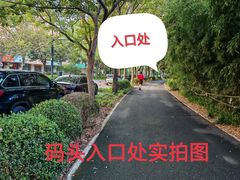 -新江湾城公园