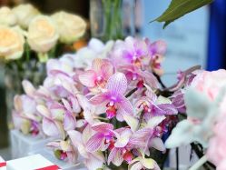 点击看大图 -花隐·美芙炫海菲秀皮肤管理中心