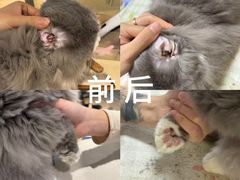 -听TA说宠咖·宠物生活馆(天韵水岸店)