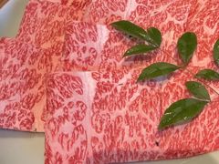 -然锅料理