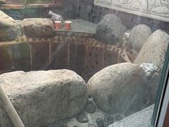 -北京益泉花园酒店