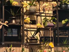 -街角 T·COFFEE 融合料理·BISTRO(车公庙店)