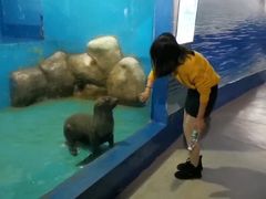 -重庆欢乐海底世界