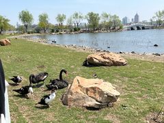 -长春市南湖公园