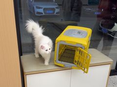 -瑞派康怡24h宠物医院·犬猫医疗中心·微创绝育(瑞景分院)