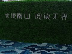 -南山图书馆(常兴路店)