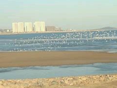 -青岛西海岸隆和福朋喜来登酒店