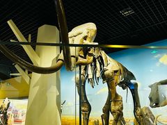 -国家自然博物馆