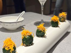 -柿合缘新京菜(国金中心商场店)