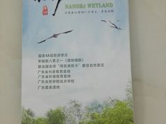 -大湾区中央湿地公园