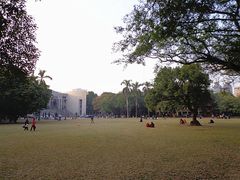 -中山大学学者灵芝(园南路店)