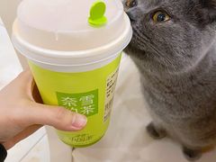 -奈雪的茶(重庆万象城北区店)