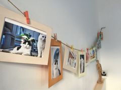 Anne猫窝咖啡屋-Anne猫窝咖啡屋