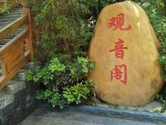 -大屏嶂森林公园