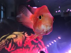 -玉龙居(二中店)