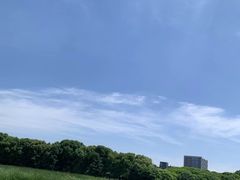 -白鹭园