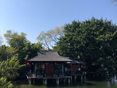 -侨美·唐荔园·40年地道粤菜