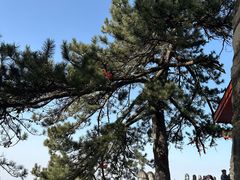 -终南山南五台景区