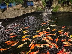 -新世纪大酒楼·30年南海菜